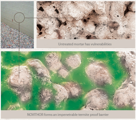 NOVITHOR forms an impenetrable termite proof barrier